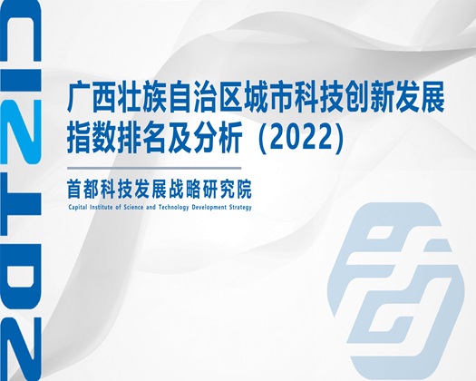 操骚逼AV网【成果发布】广西壮族自治区城市科技创新发展指数排名及分析（2022）